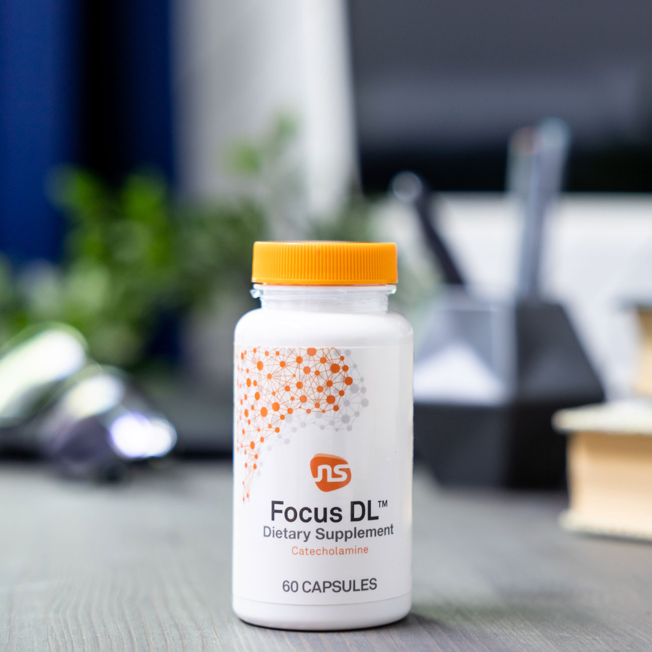Focus DL